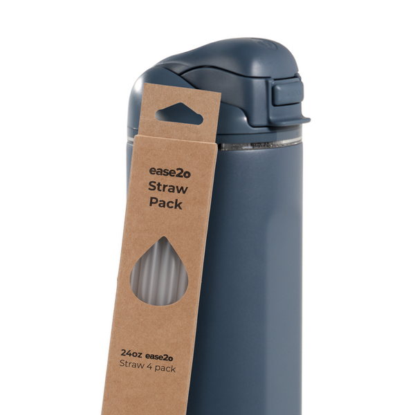 Ease2o Straws 4 Pack 24oz T2
